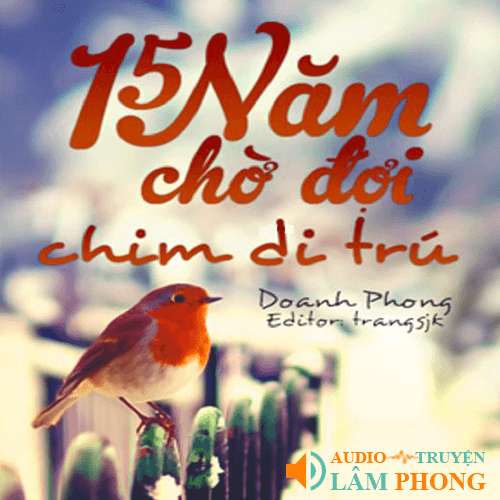 Audio 15 năm chờ đợi chim di trú