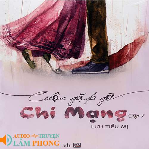 Audio Cuộc Gặp Gỡ Chí Mạng