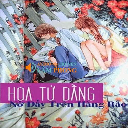 Audio Hoa Tử Đằng Nở Đầy Trên Hàng Rào