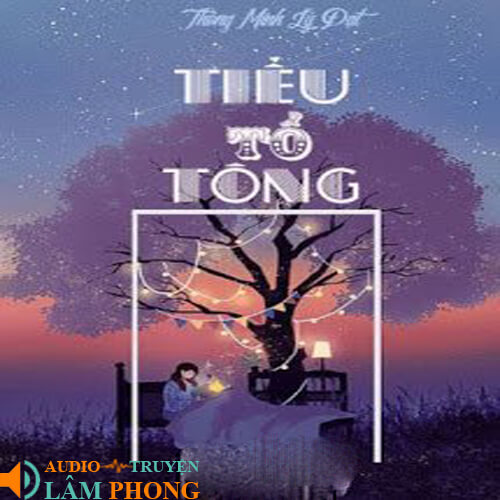 Audio Tiểu Tổ Tông