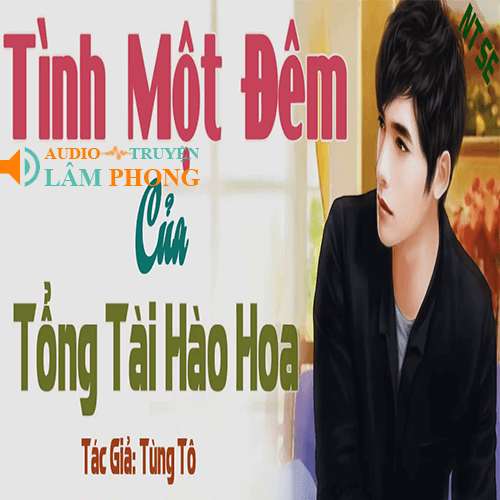 Audio Tình Một Đêm Của Tổng Giám Đốc Hào Hoa