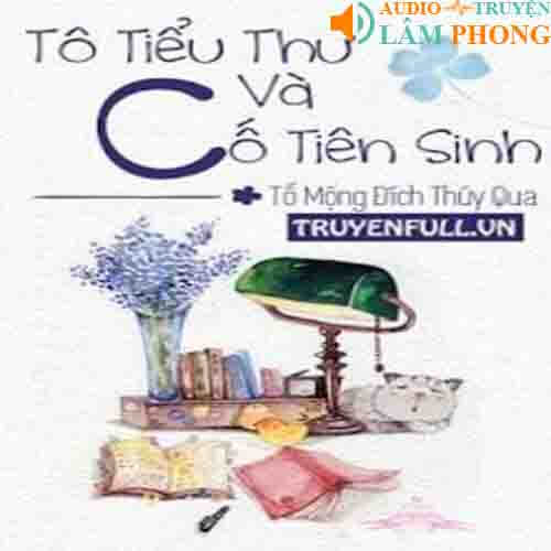 Audio Tô tiểu thư cố tiên sinh